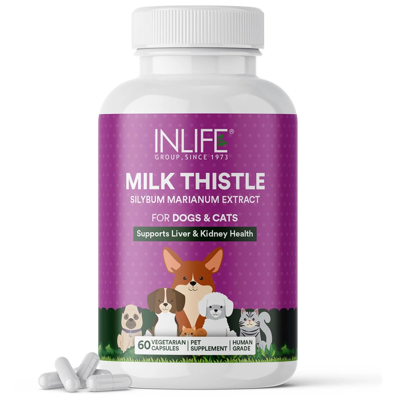 INLIFE MILK THISTLE 400MG FOR PETS